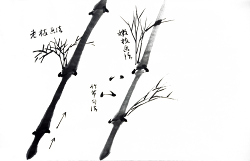 竹子的画法图片