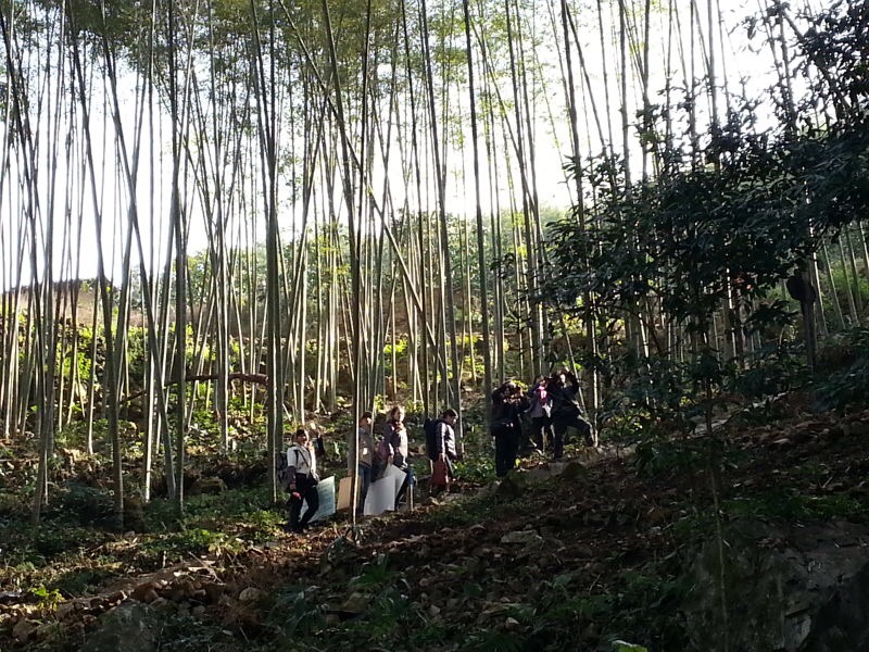 “写生平和・国强老区行” 活动 走进松湖村竹酒基地