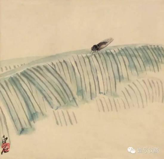 《蕉叶蝉》